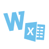 Word and excel icon