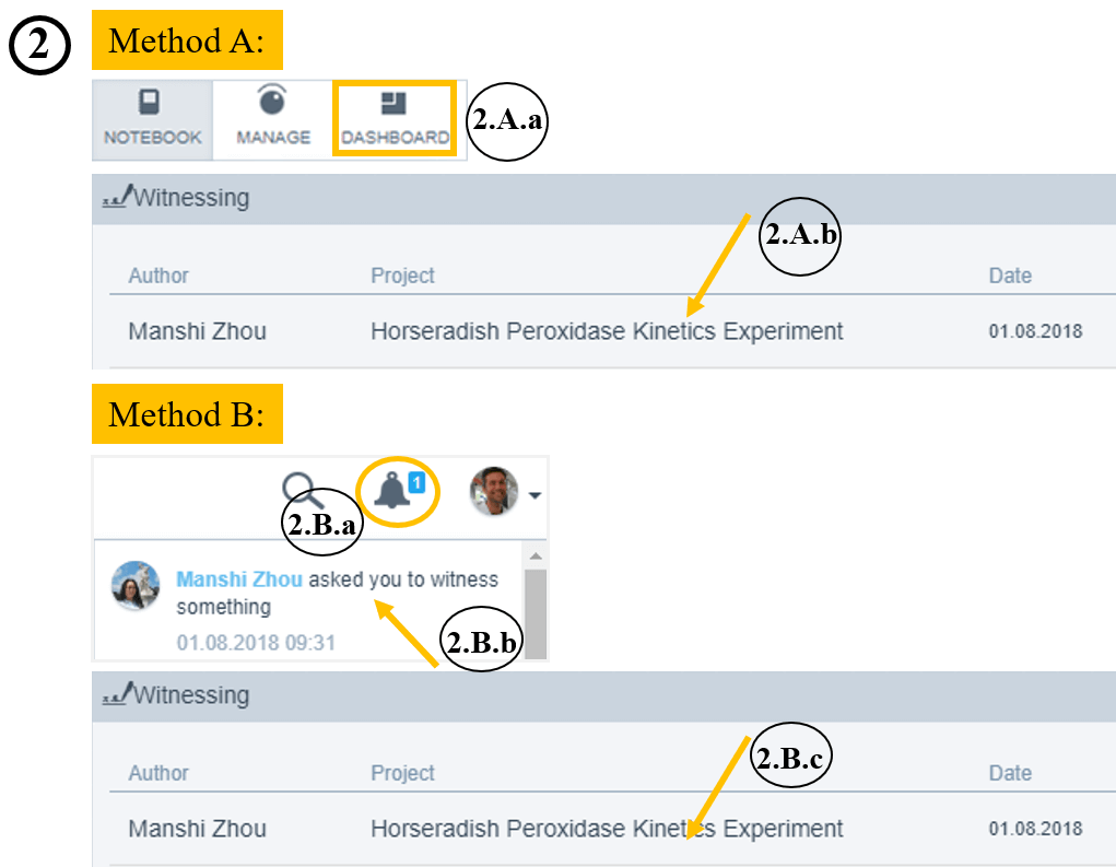 Helpdesk-Witness 1